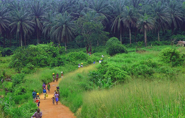 People walking on a dirt road in Sierra Leone.